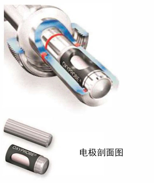 8101系列在線溶解氧電極(ppb級)剖面圖