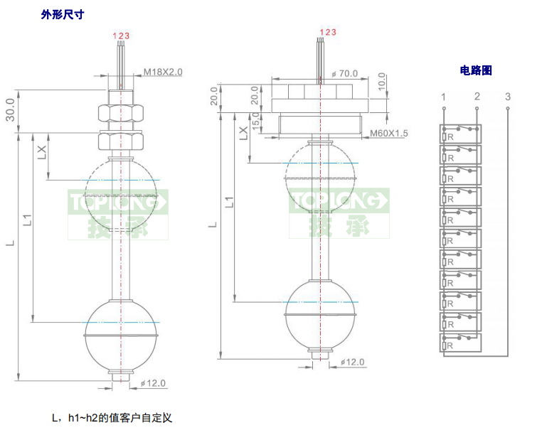 2260型直桿式液位計(開關)